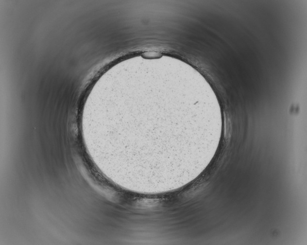 X0000110960252200907311113