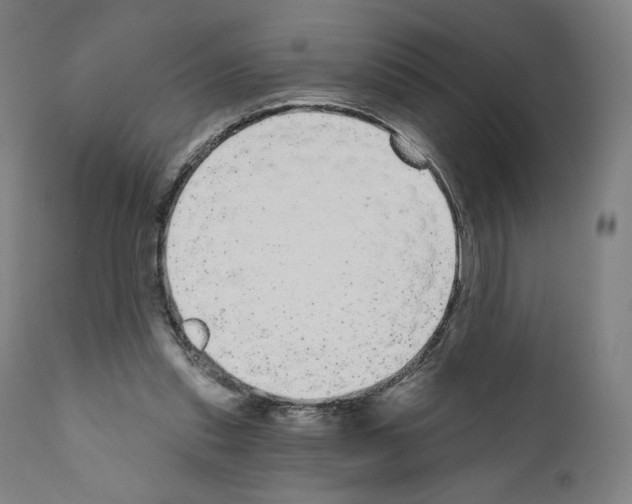 X0000110960253200907311113