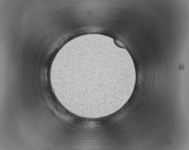 X0000110960254200907311113