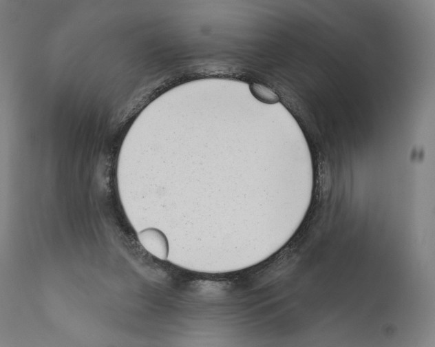 X0000110960255200907311113