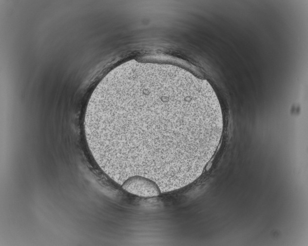 X0000110960258200907311113