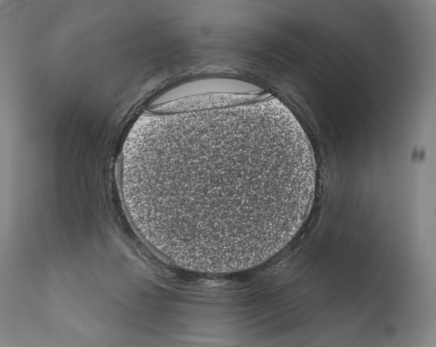 X0000110960260200907311113