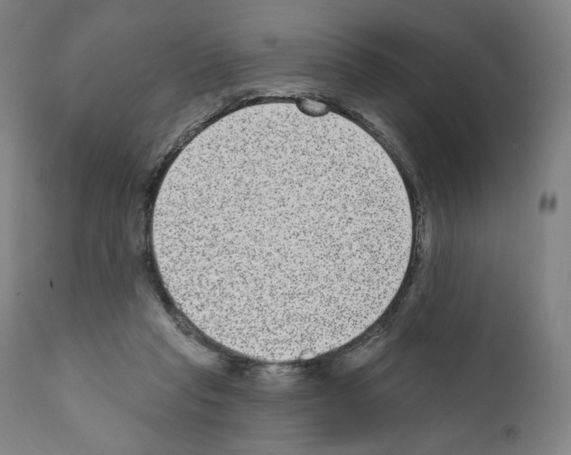X0000110960261200907311113