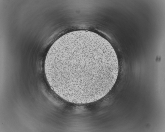X0000110960262200907311113