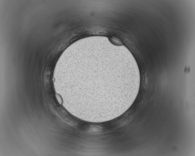 X0000110960263200907311113
