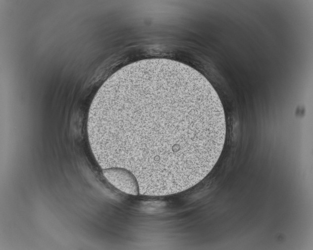 X0000110960266200907311113