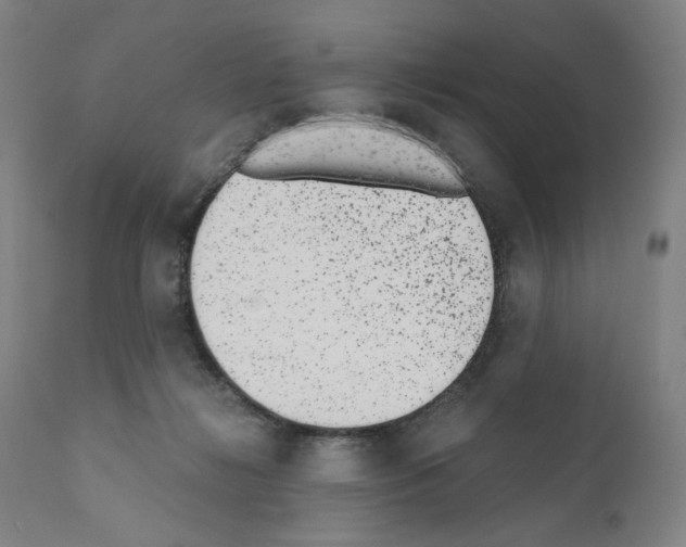 X0000110960268200907311113