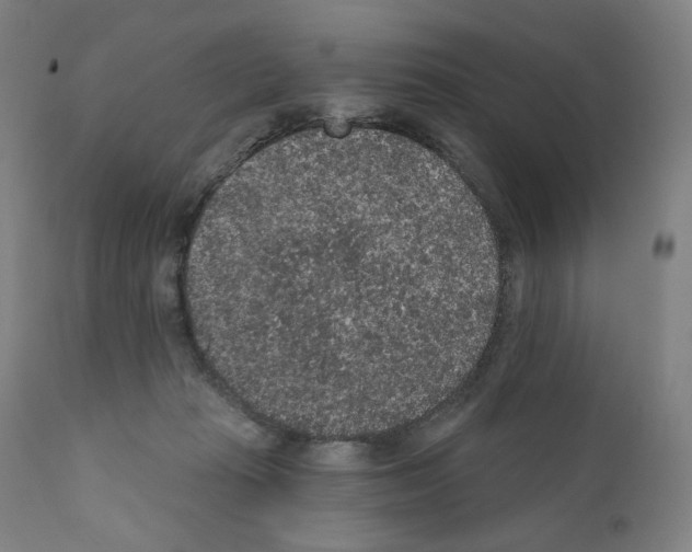 X0000110960269200907311113