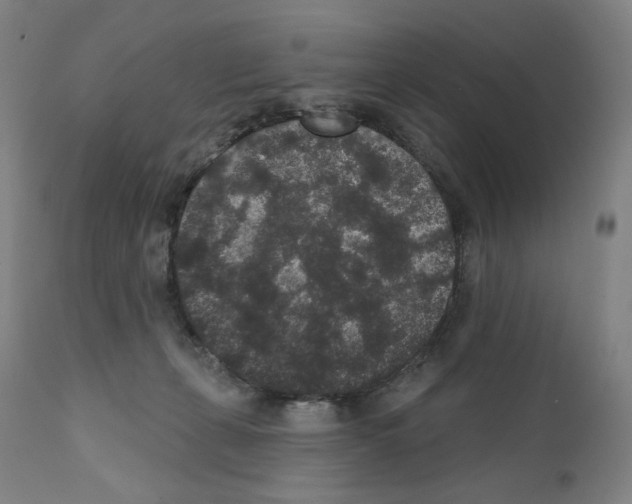 X0000110960271200907311113