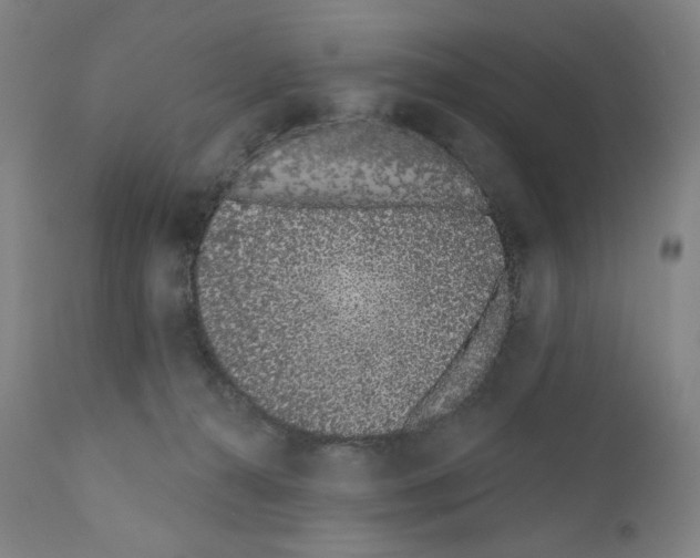 X0000110960272200907311113