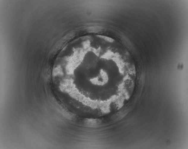 X0000110960277200907311113
