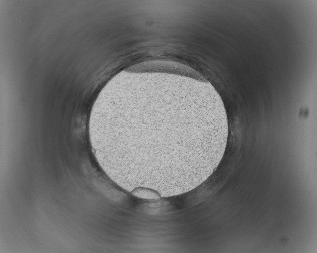 X0000110960278200907311113