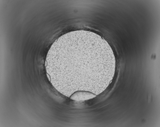 X0000110960279200907311113