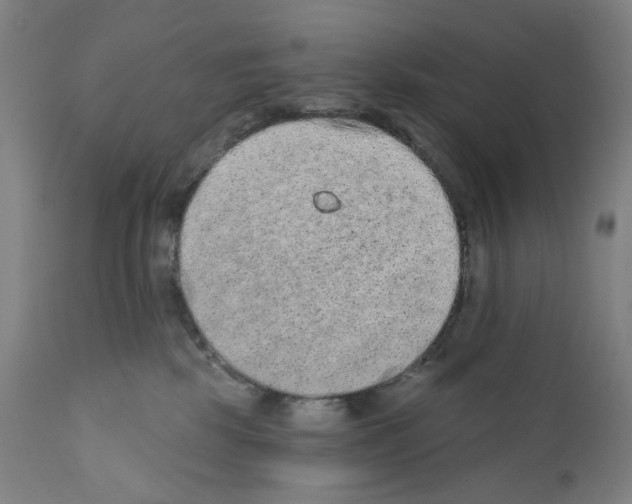 X0000110960281200907311113