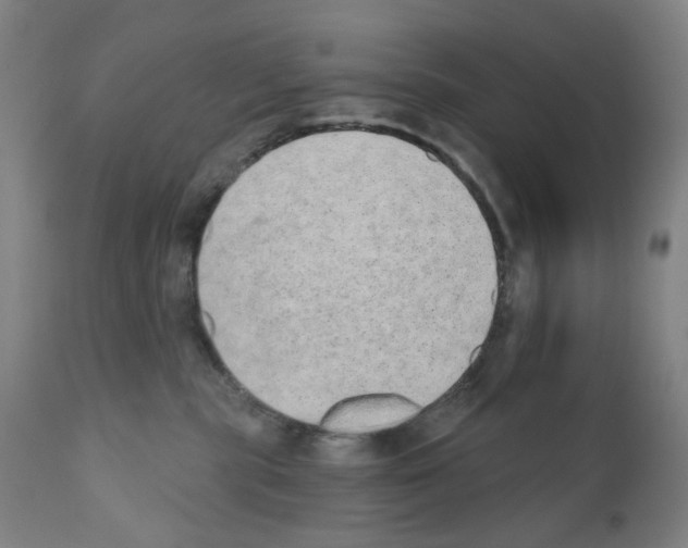 X0000110960283200907311113