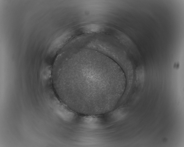 X0000110960284200907311113