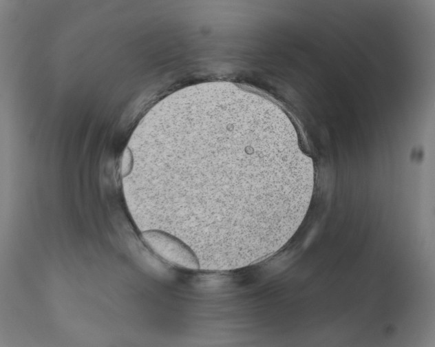 X0000110960286200907311113