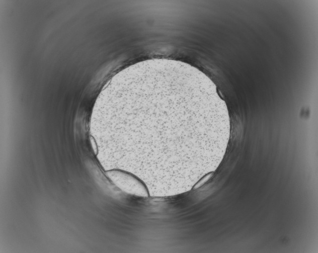 X0000110960287200907311113