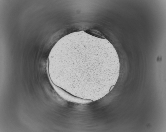 X0000110960288200907311113