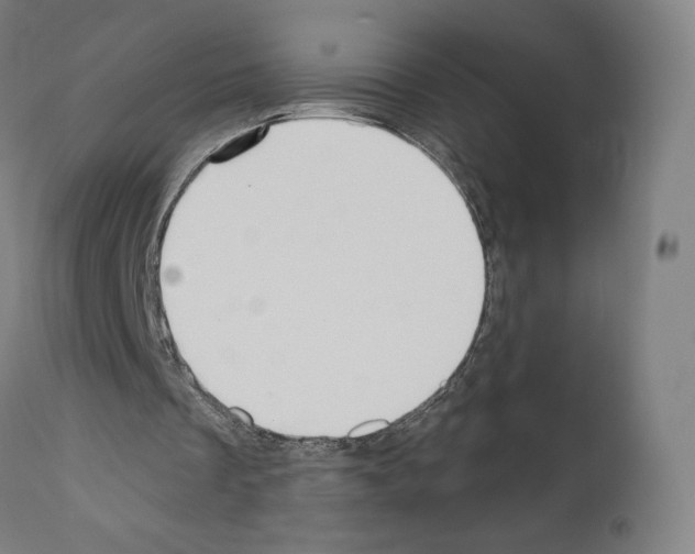 X0000110960289200907311112