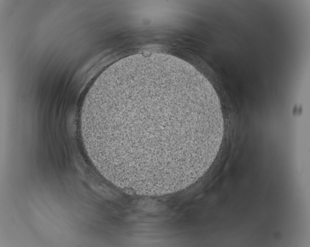 X0000110960290200907311112