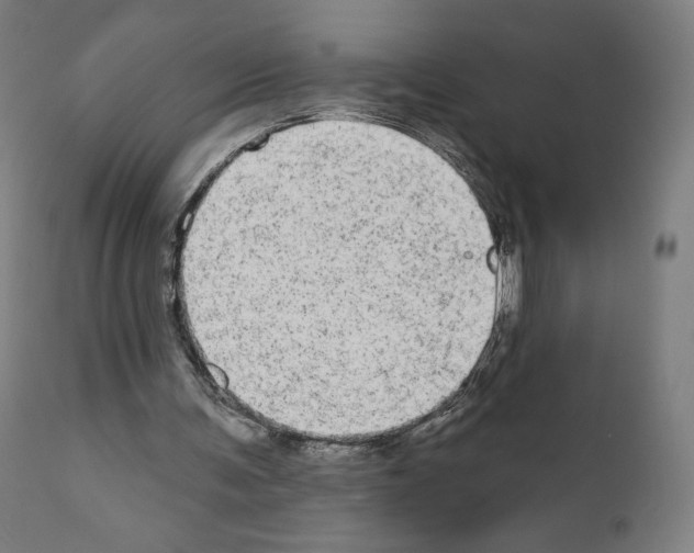 X0000110960291200907311112
