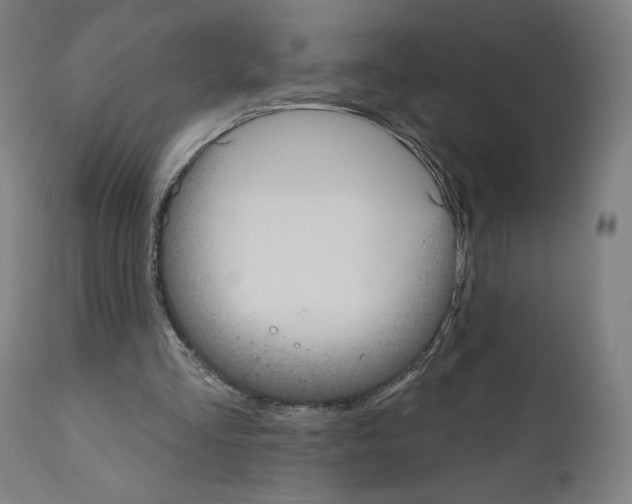 X0000110960293200907311112