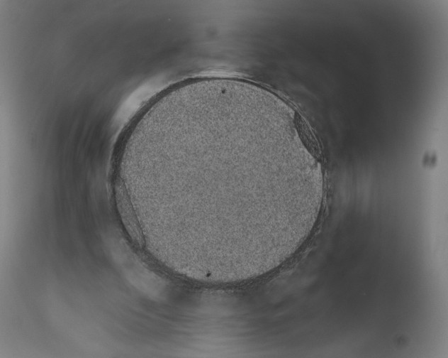X0000110960296200907311112