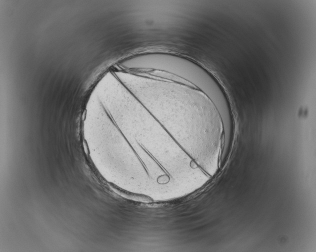 X0000110960297200907311112
