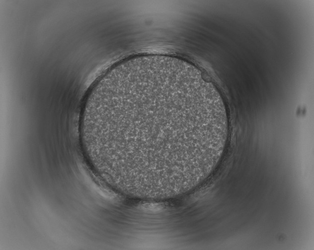 X0000110960299200907311112