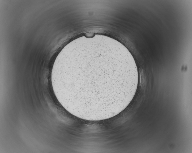 X0000110960300200907311112