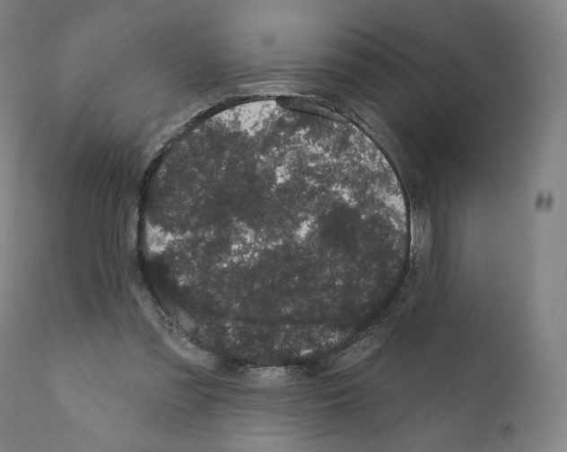 X0000110960301200907311112