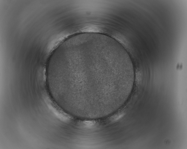 X0000110960302200907311112