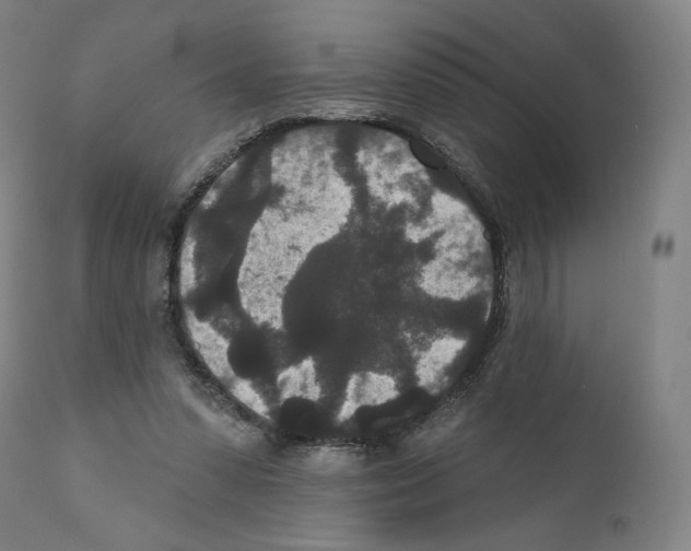 X0000110960303200907311112