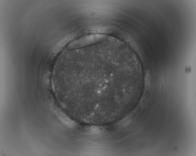 X0000110960305200907311112