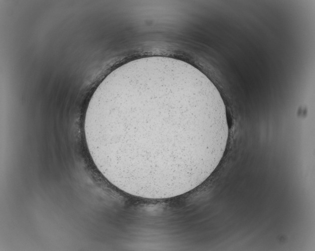 X0000110960306200907311112