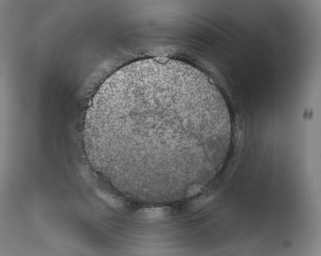 X0000110960307200907311112