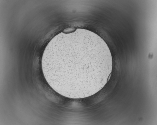 X0000110960308200907311112