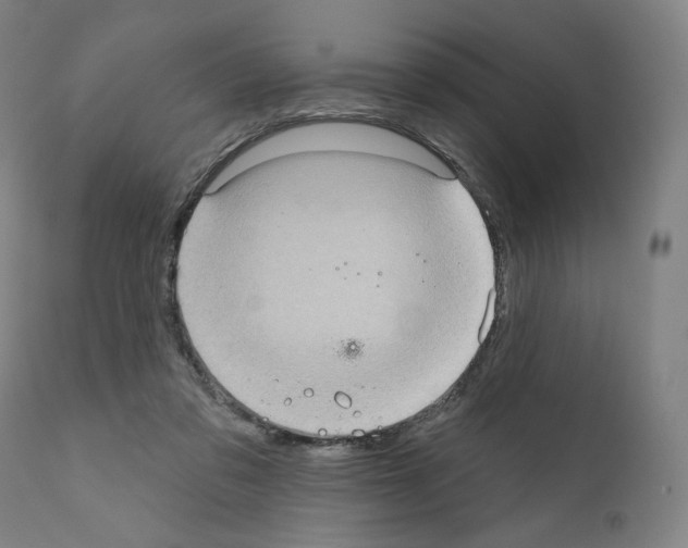 X0000110960309200907311112