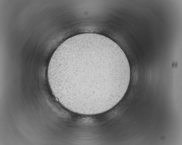 X0000110960310200907311112