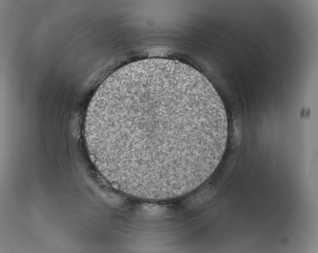X0000110960311200907311112