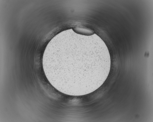 X0000110960312200907311112
