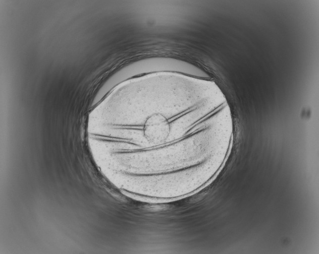 X0000110960313200907311112