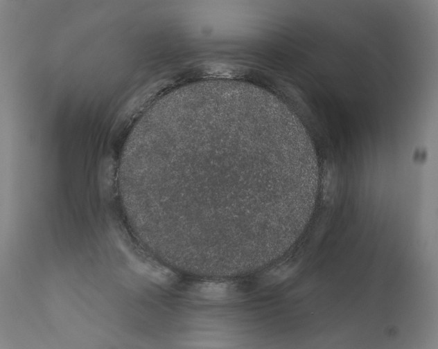 X0000110960314200907311112