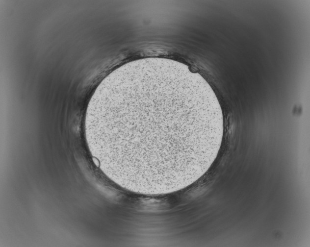 X0000110960315200907311112