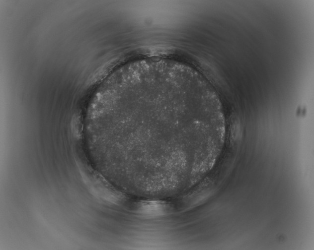 X0000110960316200907311112