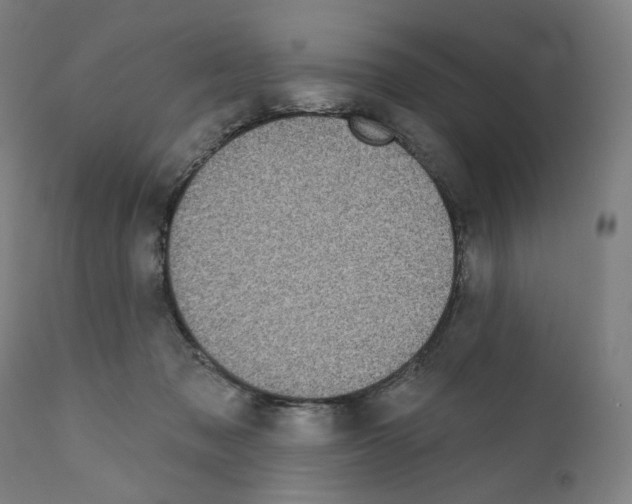 X0000110960317200907311112