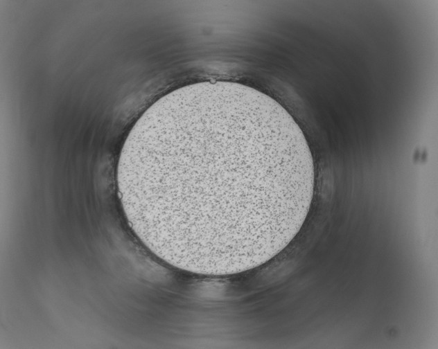 X0000110960318200907311112