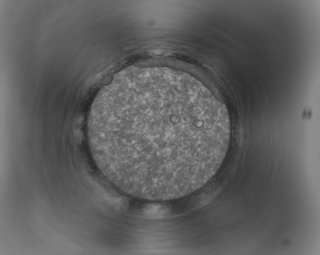 X0000110960319200907311112