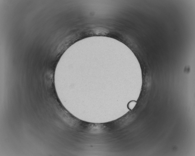X0000110960321200907311112